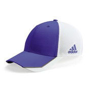 Tour Fitted Mesh Cap